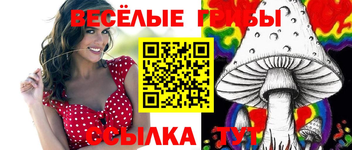 Нефтекумск  Псилоцибиновые грибы мицелий  как найти наркотики  Вход с VPN 